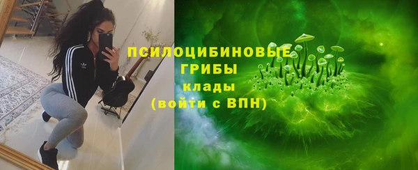 скорость Алексин